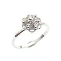 Silver ring with Zeeland button