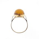 Image 5 of Gold ring with amber | Vintage
