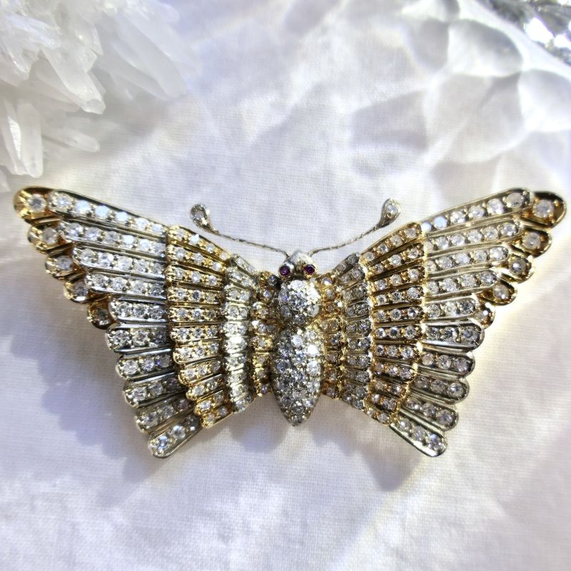 Image 17 of Exclusive two-tone gold butterfly brooch with ruby ​​and diamond; 5.44 ct.
