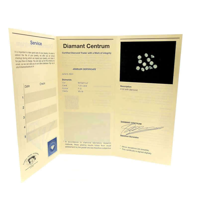 Image 5 of Set 1.01 ct. Brilliant-cut Natural Diamonds; Color F/G Quality; VS-SI + Quality Report