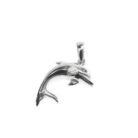 Silver charm; Dolphin