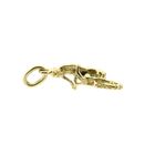 Afbeelding 8 van Gouden hanger van een motorcrosser