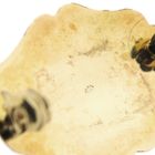 Image 6 of Vintage gold brooch with carnelian