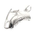 Image 3 of Silver charm; Figure skate