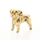 Afbeelding 4 van Gouden hanger van een rottweiler