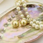 Image 4 of Zinzi gold earrings with artificial pearls