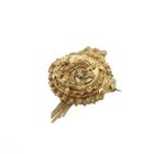 Image 9 of Old Dutch gold brooch with a cap bell