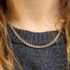 Image 7 of Golden Prince of Wales link chain.