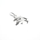 Image 3 of Silver charm; Dolphins