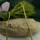 Image 2 of Gold square king chain | 60 cm