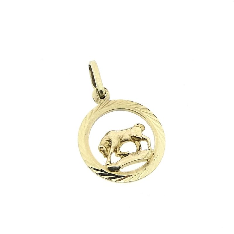 Image 4 of Gold zodiac sign pendant; Capricorn
