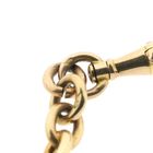Image 9 of Golden (pocket watch) chain; Chatelaine (for a pocket watch)