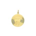 Image 1 of Gold zodiac sign pendant; Capricorn