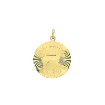 Image 1 of Gold zodiac sign pendant; Capricorn