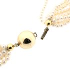 Image 5 of Pearl necklace with gold clasp