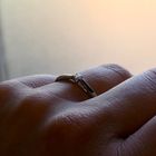 Image 10 of White Gold Engagement Ring with 0.07 ct Diamond; 14K; Size 18.5