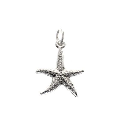 Image 1 of Silver charm; Starfish