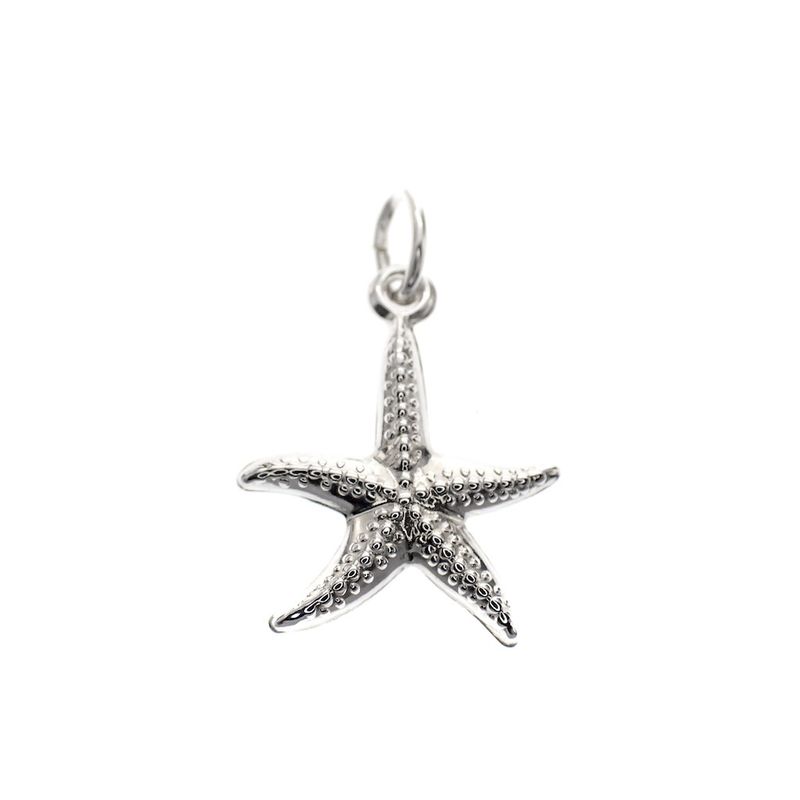 Image 1 of Silver charm; Starfish