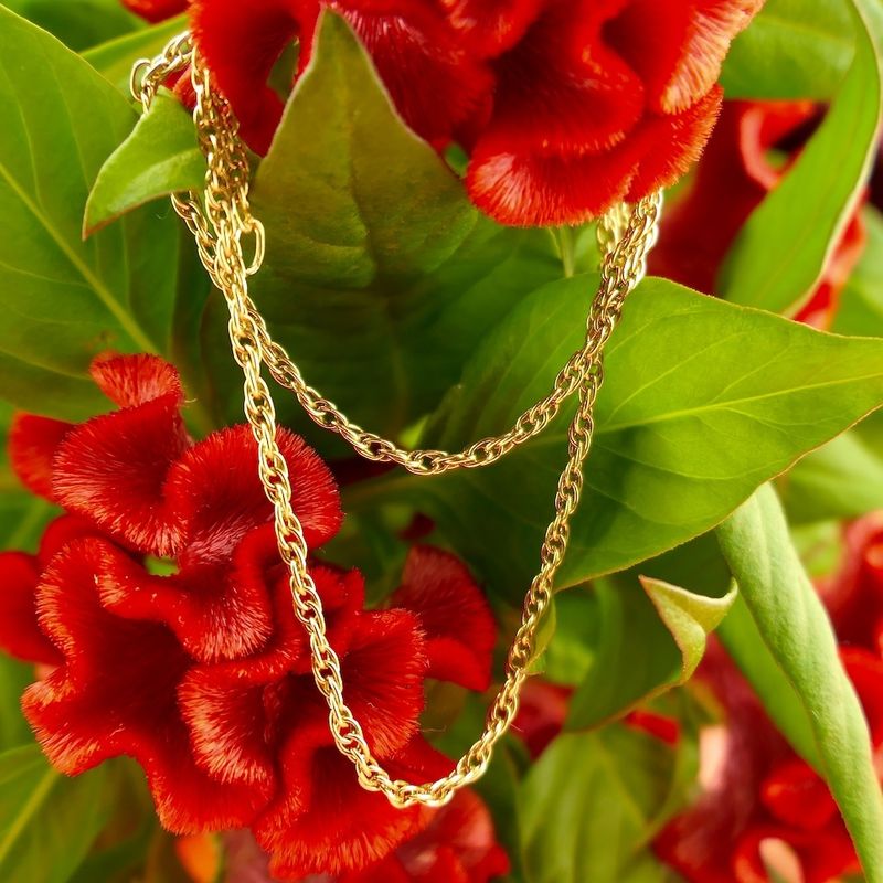 Image 7 of Gold Singapore link chain