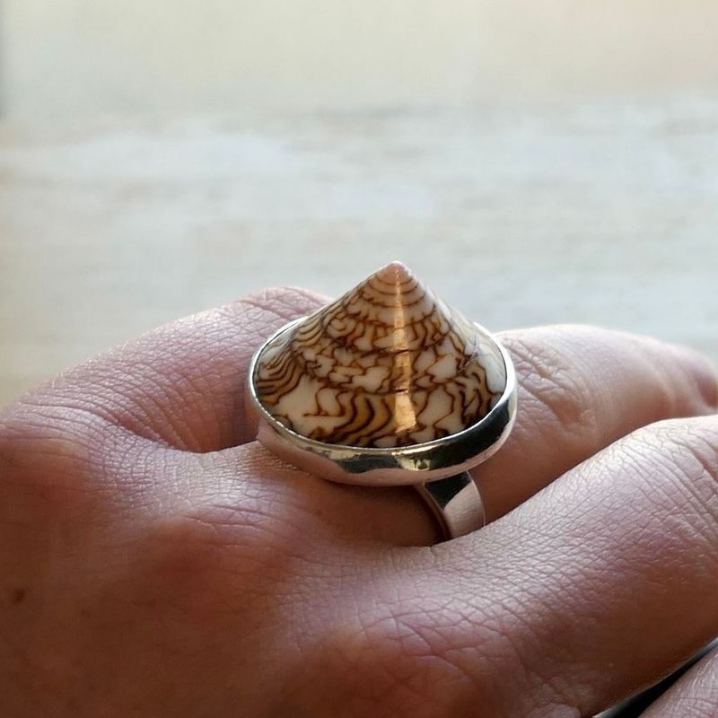 Image 8 of Silver ring with sea snail shell