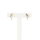 Image 1 of Diamonde Bicolor Gold Earrings with Diamonds; 0.07 ct.