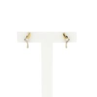 Diamonde Bicolor Gold Earrings with Diamonds; 0.07 ct.