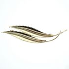 Image 1 of Gold brooch with two feathers