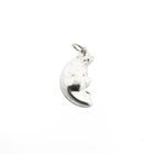 Image 2 of Silver pendant of a moon with a face