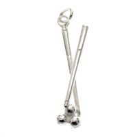 Silver charm; Billiards