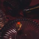 Image 2 of Gold ring with red coral | Vintage