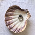 Image 2 of Silver ring with black pearl | Melano