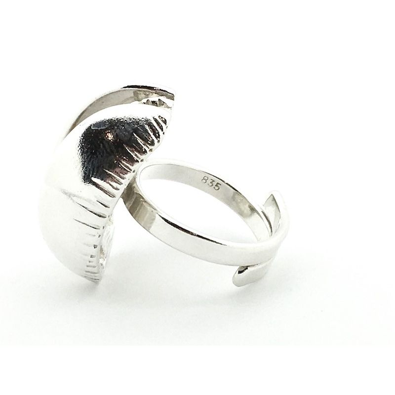 Image 12 of Silver fantasy ring