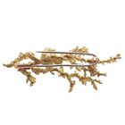 Image 3 of Antique gold brooch with a coral branch, pearl and diamonds 0.35 ct.