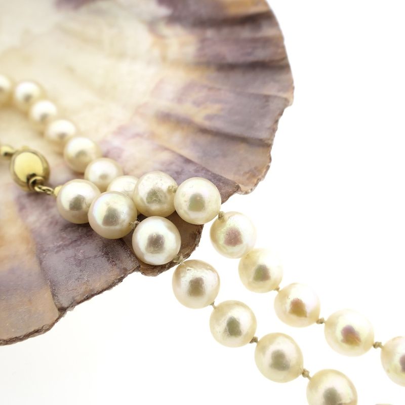 Image 7 of Pearl necklace with gold clasp | 41 cm