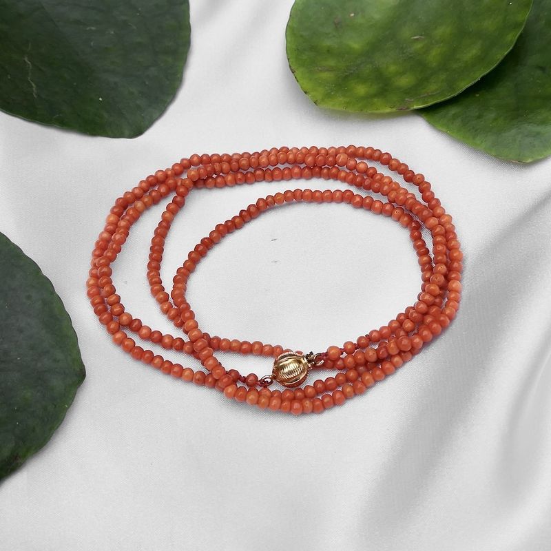 Image 2 of Blood coral necklace/saucer with gold clasp; Antique | 83 cm