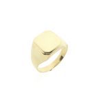 Image 1 of Gold men's signet ring