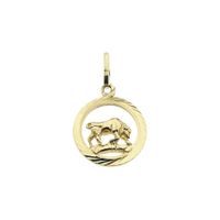 Gold zodiac sign pendant; Capricorn