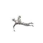 Image 4 of Silver charm; Swimmer
