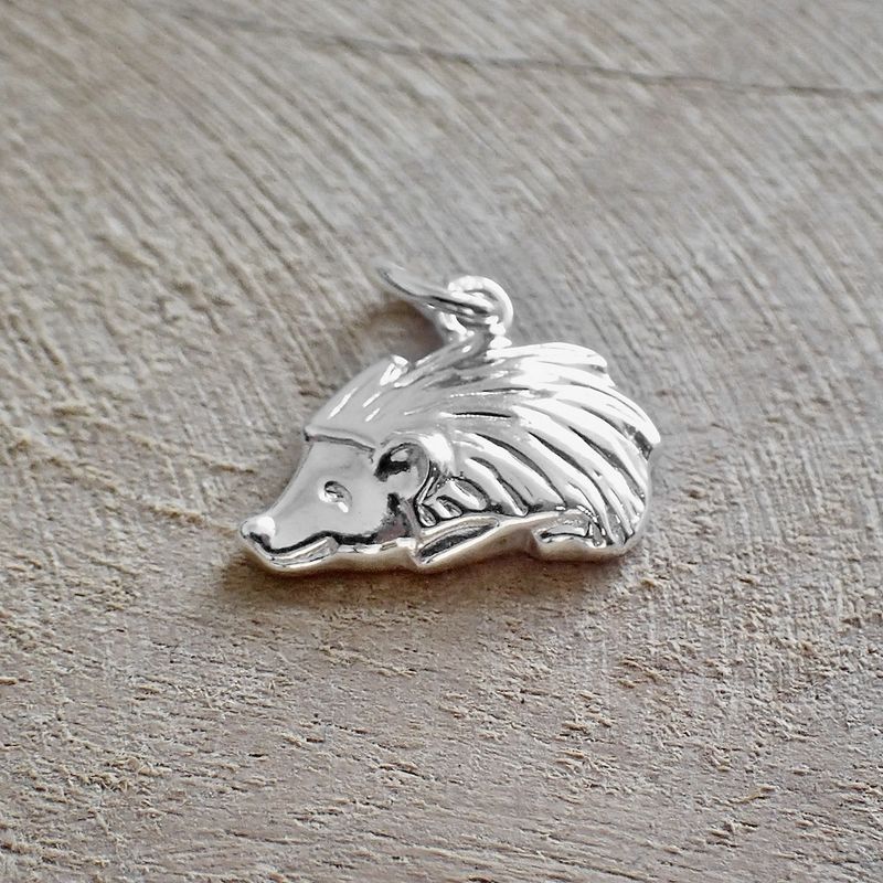 Image 6 of Silver charm; Hedgehog
