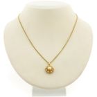 Image 11 of Gold pendant of a Zeeland button