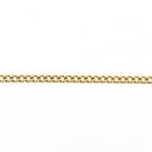 Image 2 of Gold gourmet link chain