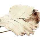 Image 3 of Silver plated brooch of a leaf