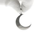 Image 2 of Silver charm; Half Moon