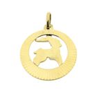 Image 6 of Gold zodiac sign pendant; Capricorn