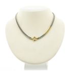 Image 1 of Bicolor gourmet link necklace; Choker