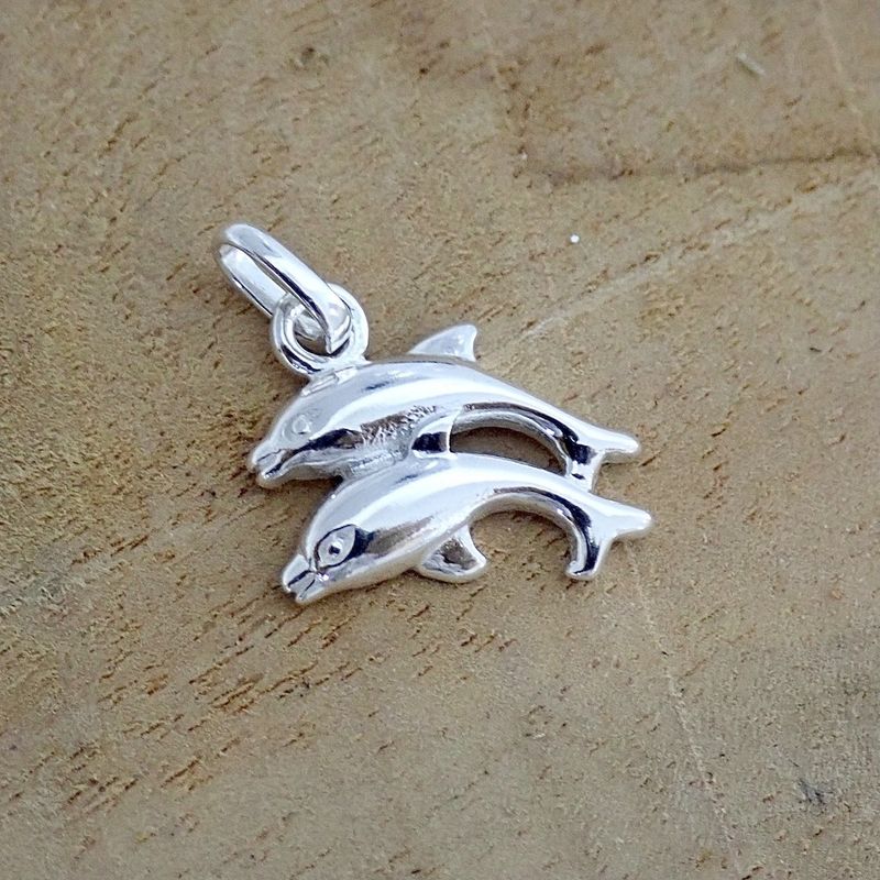 Image 2 of Silver charm; Dolphins