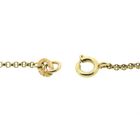 Image 3 of Golden Jasseron Link Necklace