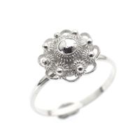 Silver ring with Zeeland button