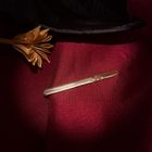 Image 8 of Golden tie slide