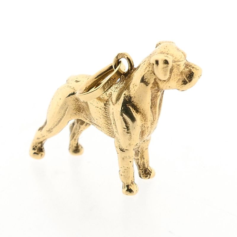 Afbeelding 6 van Gouden hanger van een rottweiler